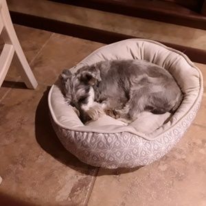 Meet your Posher, Maryann